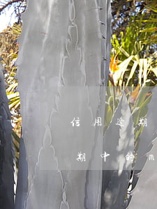 信用逾期中的M1M2指的是什么-信用逾期中的m1m2指的是什么意思
