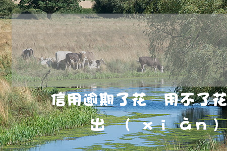 信用逾期了花唄用不了(花唄沒逾期為什么花唄會出現(xiàn)無法使用花唄)