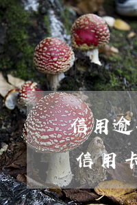 信用逾期五年后恢復可以繼續(xù)申請信用卡嗎（信用卡逾期注銷后征信還能恢復嗎）