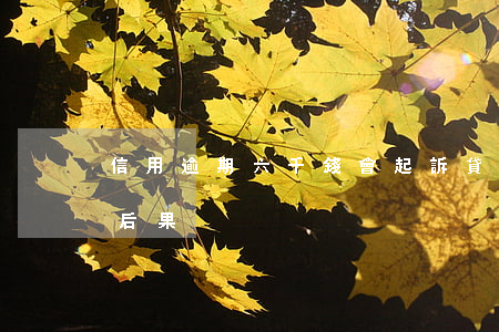 信用逾期六千錢會起訴(貸款6萬逾期被起訴后果)