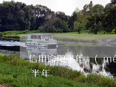 信用逾期半年沒(méi)怎么樣(征信逾期半年)