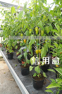 信用逾期可以坐高鐵么 征信逾期可以坐高鐵