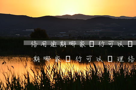 信用逾期哪家銀行可以辦理信用卡-信用逾期哪家銀行可以辦理信用卡業(yè)務(wù)