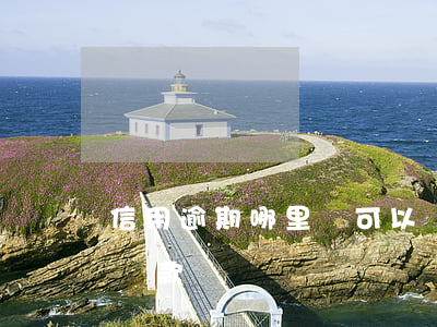 信用逾期哪里還可以貸款(信用卡有逾期還能貸款嗎)