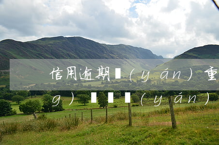信用逾期嚴(yán)重可以做網(wǎng)貸嗎(嚴(yán)重逾期的可以網(wǎng)貸嗎)
