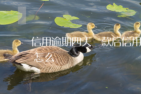 信用逾期四天還款后(信用卡還款逾期四天會怎么樣)
