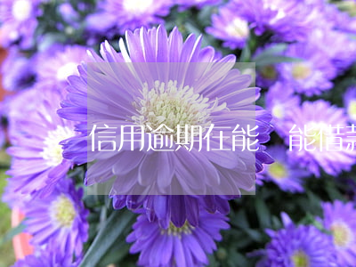信用逾期在能還能借款(信用卡逾期還能貸款嗎)