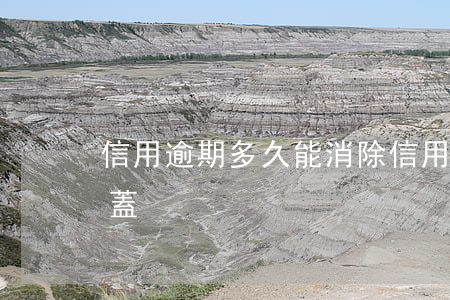 信用逾期多久能消除（信用卡逾期多久可以覆蓋）