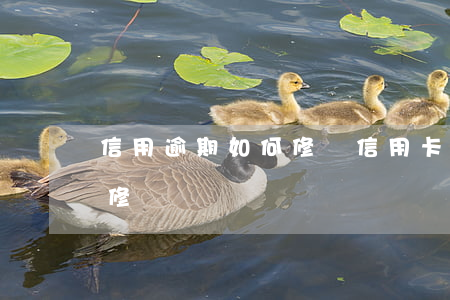 信用逾期如何修復（信用卡逾期記錄怎么申請修復）