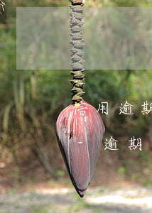 信用逾期幾個(gè)月才算是失信人員了-逾期無力還款最佳處理方法