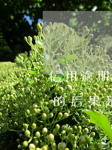 信用逾期幾次對貸款有影響（信用卡逾期6次的后果是）
