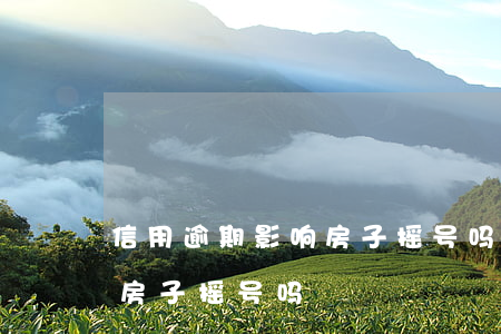 信用逾期影响房子摇号吗北京（信用逾期影响房子摇号吗）