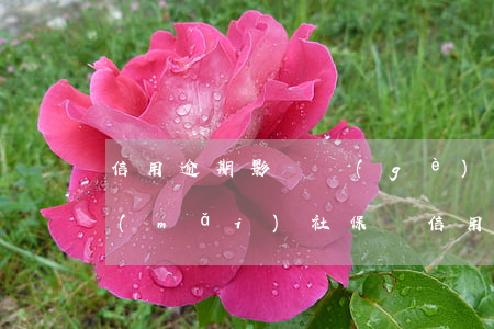 信用逾期影響個(gè)人購(gòu)買(mǎi)社保嗎(信用逾期會(huì)對(duì)買(mǎi)保險(xiǎn)有什么影響)