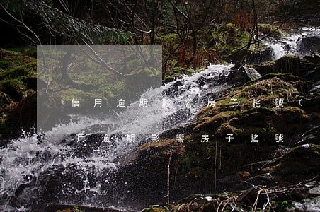 信用逾期影響房子搖號(hào)嗎北京（信用逾期影響房子搖號(hào)嗎）