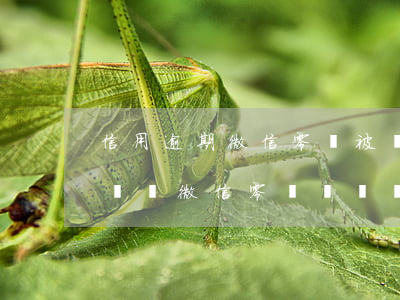 信用逾期微信零錢被凍結(jié)(征信有問題微信零錢會凍結(jié)嗎)