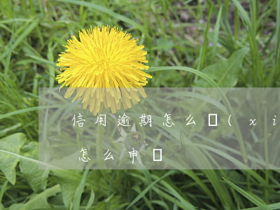 信用逾期怎么協(xié)商處理 信用逾期怎么申訴