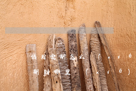 信用逾期怎么協(xié)商還款(信用卡逾期到哪里協(xié)商還款)