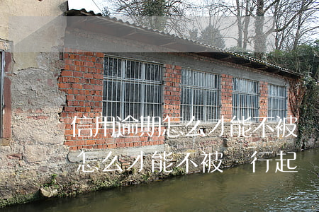 信用逾期怎么才能不被銀行起訴-信用逾期怎么才能不被銀行起訴呢