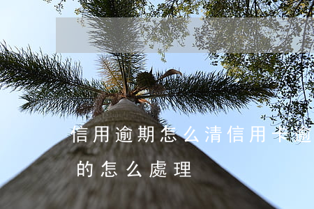 信用逾期怎么清(信用卡逾期嚴(yán)重的怎么處理)