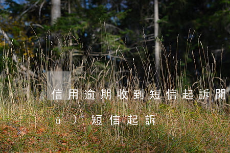 信用逾期收到短信起訴開庭(逾期中心發(fā)短信起訴)