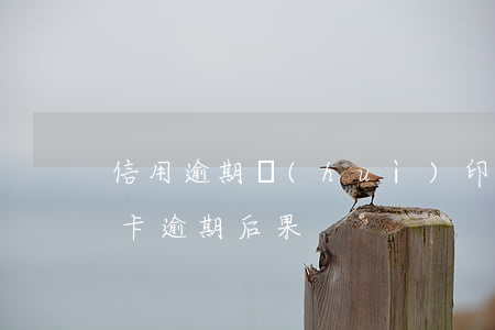 信用逾期會(huì)印象花唄嗎(花唄信用卡逾期后果)