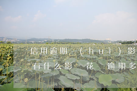 信用逾期會(huì)影響花唄嗎(花唄逾期有什么影響?花唄逾期多久上征信)