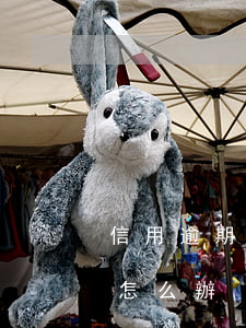 信用逾期沒還款怎么辦(信用卡逾期沒錢還該怎么辦)