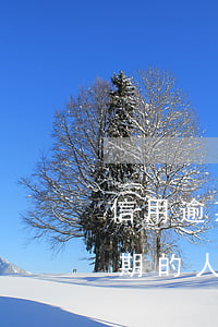信用逾期的人還能做法定代表人嗎-信用逾期的人還能做法定代表人嗎知乎