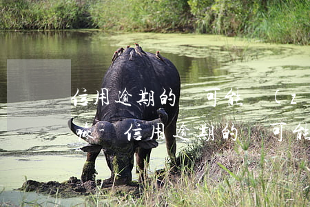 信用逾期的話可能執(zhí)行壽險保單嘛-信用逾期的話可能執(zhí)行壽險保單嘛