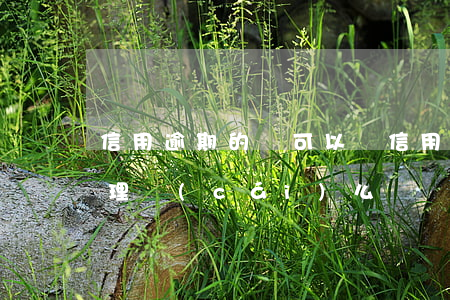 信用逾期的還可以辦信用卡嗎?（信用逾期能買理財(cái)么）