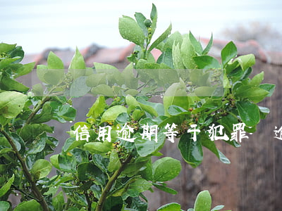 信用逾期等于犯罪嗎(逾期是犯罪嗎)