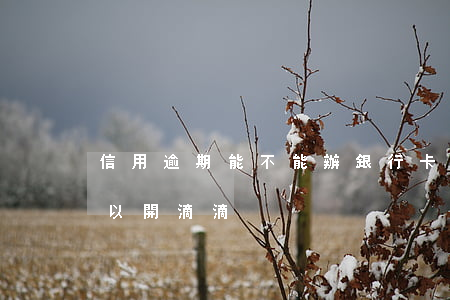 信用逾期能不能辦銀行卡（信用卡逾期可不可以開滴滴）