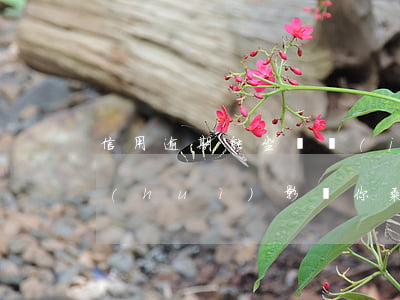 信用逾期能坐飛機(jī)，信用逾期是否會(huì)影響你乘坐飛機(jī)？