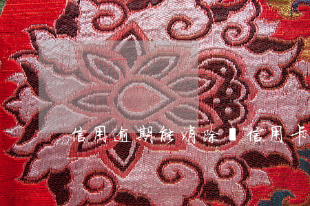 信用逾期能消除嗎（信用卡逾期能自動消除）