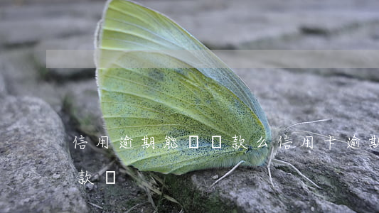 信用逾期能辦貸款么(信用卡逾期幾次不能貸款嗎)