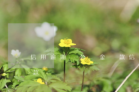 信用逾期與公積金貸款(信用逾期與公積金貸款)