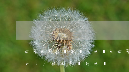 信用逾期被兩家銀行起訴(欠信用卡同時(shí)被三家銀行起訴)