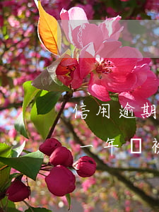 信用逾期被起訴了什么樣的后果 信用卡逾期一年會被起訴嗎