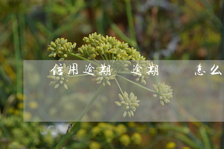 信用逾期記(逾期記錄怎么消除)