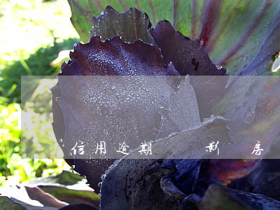 信用逾期記錄影響房貸嗎(征信逾期記錄影響房貸) 信用逾期記錄影響房貸嗎(征信逾期記錄影響房貸)