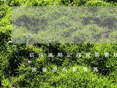 信用逾期記錄會影響移民嗎(征信有逾期對出國簽證有影響嗎)