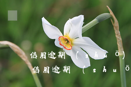 信用逾期說(shuō)被起訴是真是假-信用逾期說(shuō)被起訴是真是假