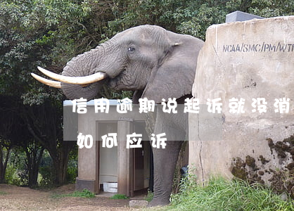 信用逾期说起诉就没消息了(信用逾期被起诉如何应诉)