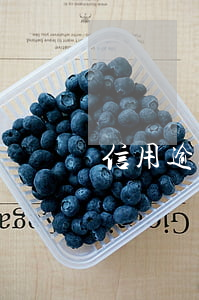 信用逾期貸款能貸到嗎(信貸有逾期可以貸款嗎)