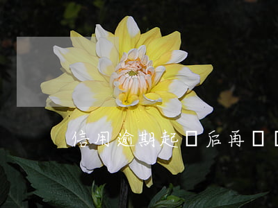 信用逾期起訴后再還(捿信逾期還款后果)