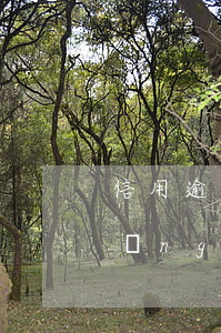 信用逾期起訴應(yīng)該怎么應(yīng)訴(房貸逾期起訴如何應(yīng)訴)