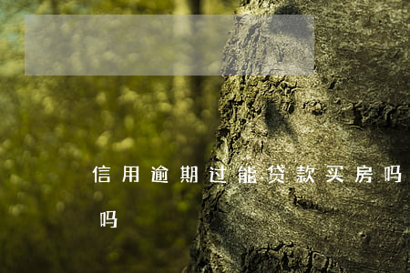 信用逾期过能贷款买房吗(买房有逾期能贷款吗)