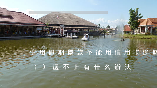 信用逾期還款不能用(信用卡逾期暫時(shí)還不上有什么辦法?)