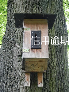 信用逾期還款寬限期(信用卡逾期寬限期多久)