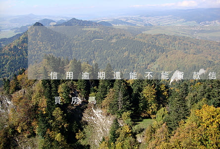 信用逾期還能不能貸款(信用有逾期還能貸款買房嗎)